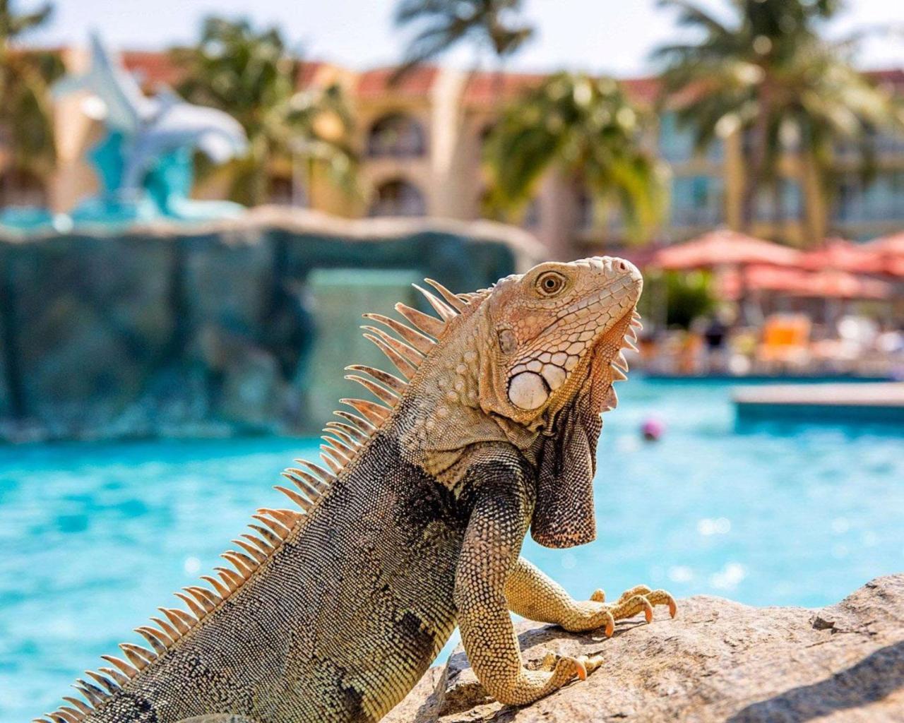Bluegreen Vacations La Cabana Resort, An Ascend Collection Palm Beach Bagian luar foto